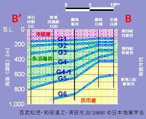 図3　B-B' の地質断面図