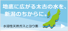 地底に広がる太古の水を、新潟の力に